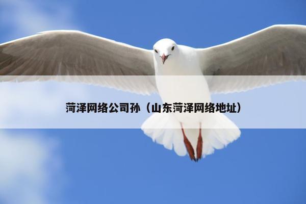 菏泽网络公司孙（山东菏泽网络地址）