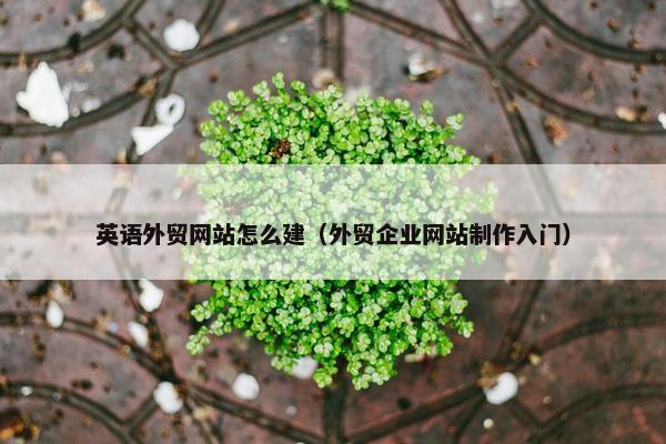 英语外贸网站怎么建（外贸企业网站制作入门）