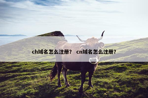 ch域名怎么注册？ cn域名怎么注册？