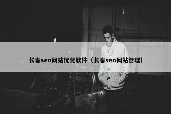 长春seo网站优化软件（长春seo网站管理）