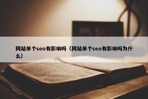 网站单个seo有影响吗（网站单个seo有影响吗为什么）