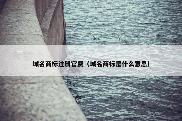 域名商标注册官费（域名商标是什么意思）