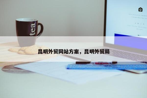 昆明外贸网站方案，昆明外贸局