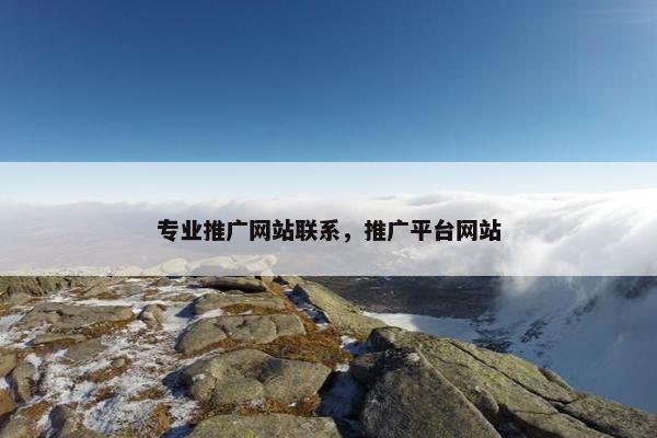 专业推广网站联系，推广平台网站