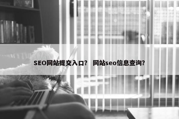 SEO网站提交入口？ 网站seo信息查询？