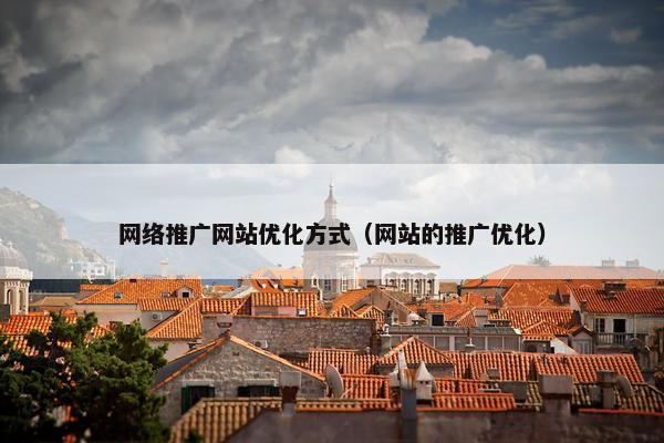 网络推广网站优化方式（网站的推广优化）