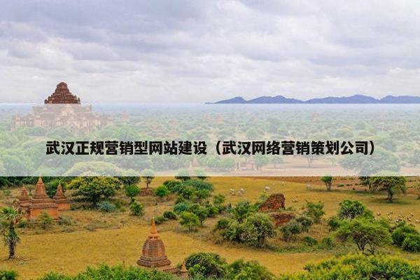 武汉正规营销型网站建设（武汉网络营销策划公司）