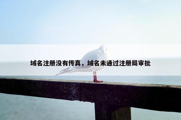 域名注册没有传真，域名未通过注册局审批