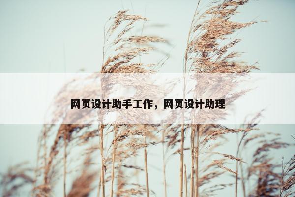 网页设计助手工作，网页设计助理