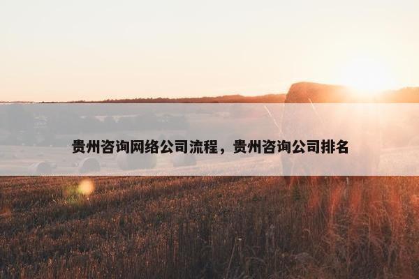 贵州咨询网络公司流程，贵州咨询公司排名