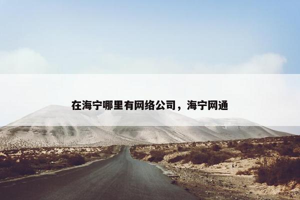 在海宁哪里有网络公司，海宁网通
