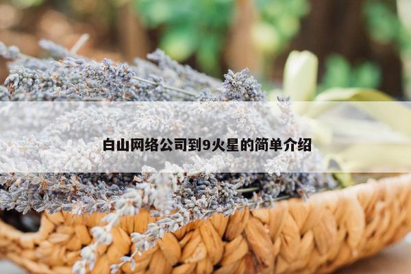 白山网络公司到9火星的简单介绍