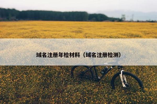 域名注册年检材料（域名注册检测）