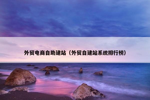 外贸电商自助建站（外贸自建站系统排行榜）