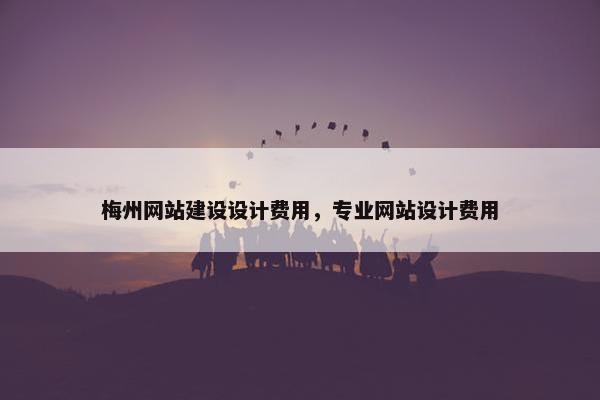 梅州网站建设设计费用，专业网站设计费用