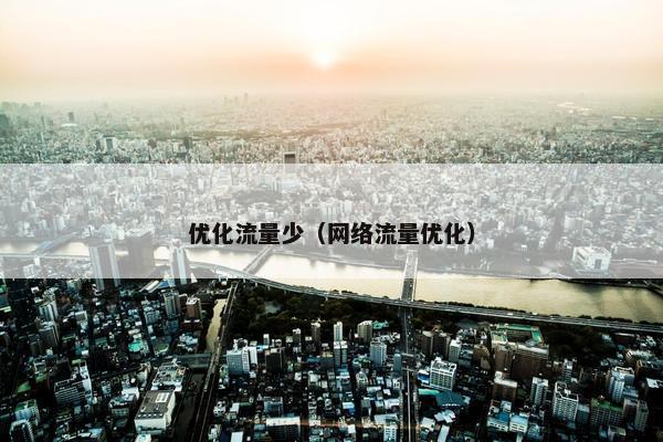 优化流量少（网络流量优化）