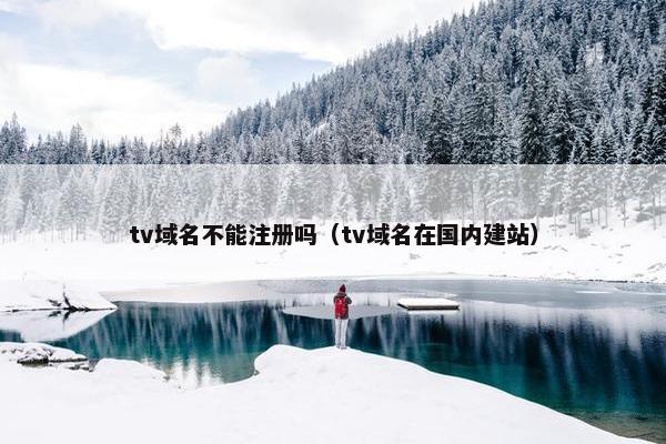tv域名不能注册吗（tv域名在国内建站）