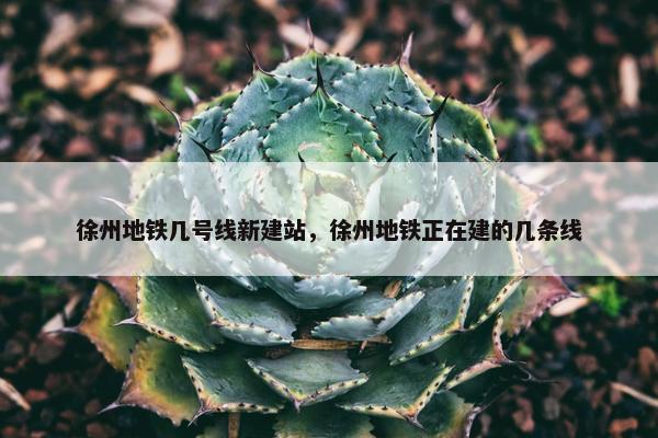 徐州地铁几号线新建站，徐州地铁正在建的几条线