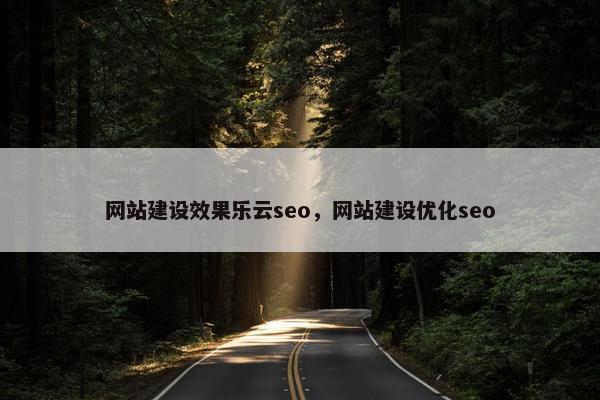 网站建设效果乐云seo，网站建设优化seo