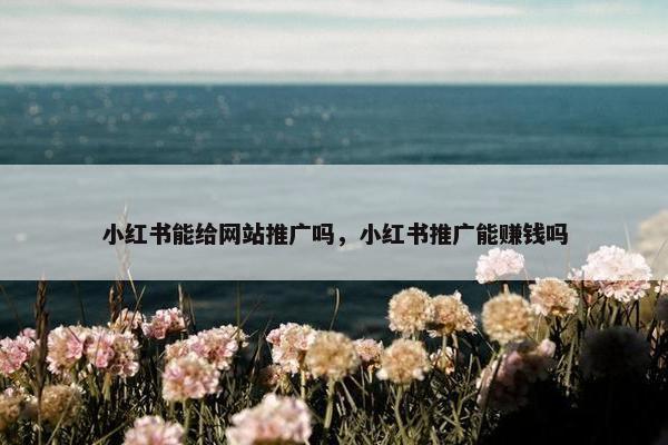 小红书能给网站推广吗，小红书推广能赚钱吗
