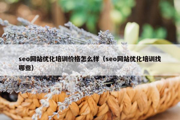 seo网站优化培训价格怎么样（seo网站优化培训找哪些）