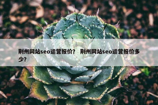 荆州网站seo运营报价？ 荆州网站seo运营报价多少？