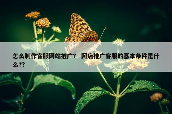 怎么制作客服网站推广？ 网店推广客服的基本条件是什么?？