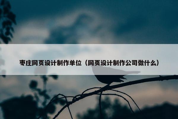 枣庄网页设计制作单位（网页设计制作公司做什么）