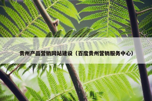 贵州产品营销网站建设（百度贵州营销服务中心）