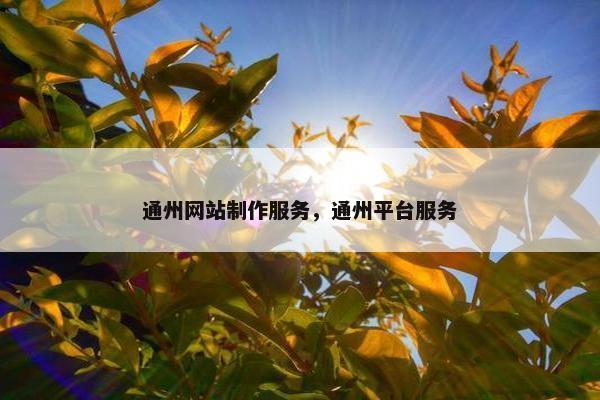 通州网站制作服务，通州平台服务