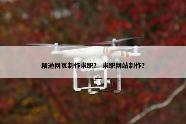 精通网页制作求职？ 求职网站制作？