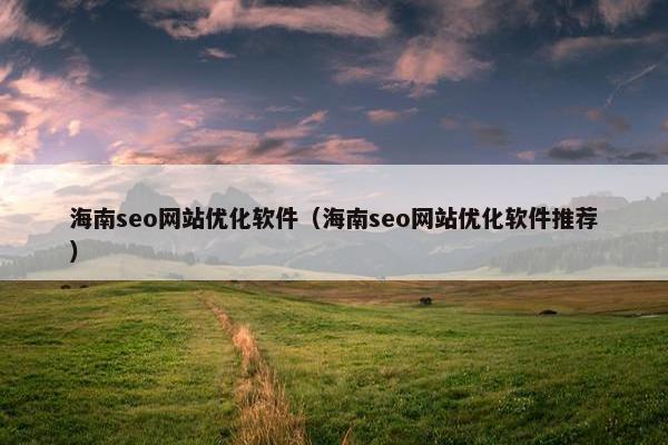 海南seo网站优化软件（海南seo网站优化软件推荐）