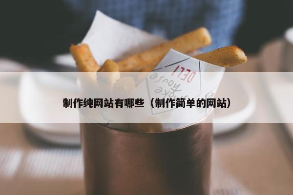 制作纯网站有哪些（制作简单的网站）