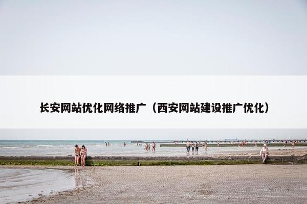 长安网站优化网络推广（西安网站建设推广优化）