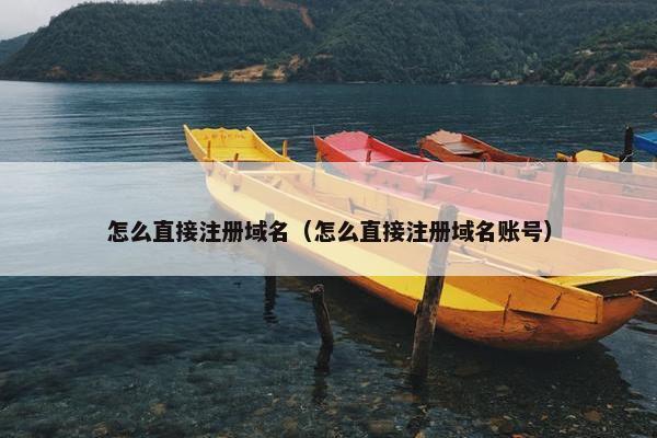 怎么直接注册域名（怎么直接注册域名账号）