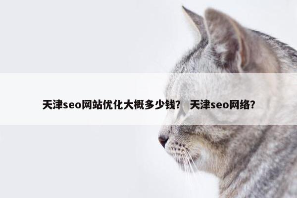 天津seo网站优化大概多少钱？ 天津seo网络？