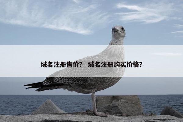 域名注册售价？ 域名注册购买价格？