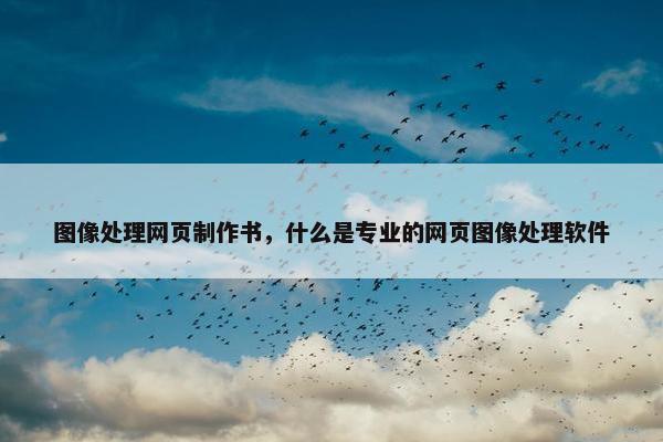 图像处理网页制作书，什么是专业的网页图像处理软件