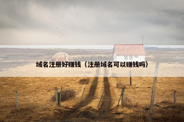 域名注册好赚钱（注册域名可以赚钱吗）