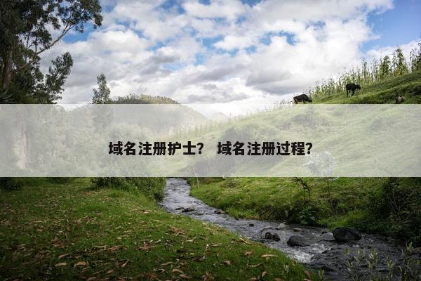 域名注册护士？ 域名注册过程？