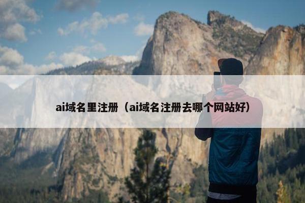 ai域名里注册（ai域名注册去哪个网站好）