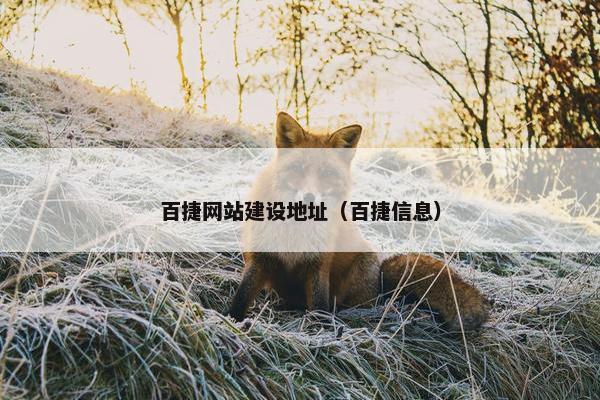 百捷网站建设地址（百捷信息）