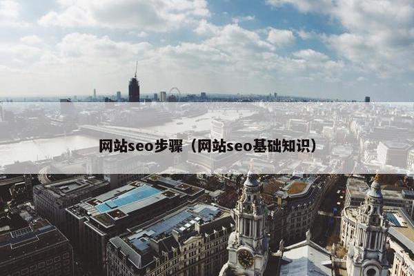 网站seo步骤（网站seo基础知识）