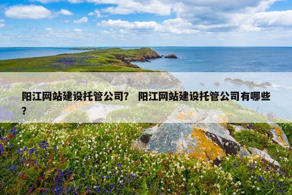 阳江网站建设托管公司？ 阳江网站建设托管公司有哪些？