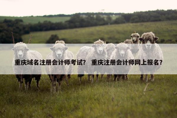 重庆域名注册会计师考试？ 重庆注册会计师网上报名？