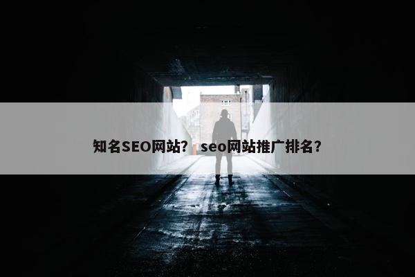 知名SEO网站？ seo网站推广排名？