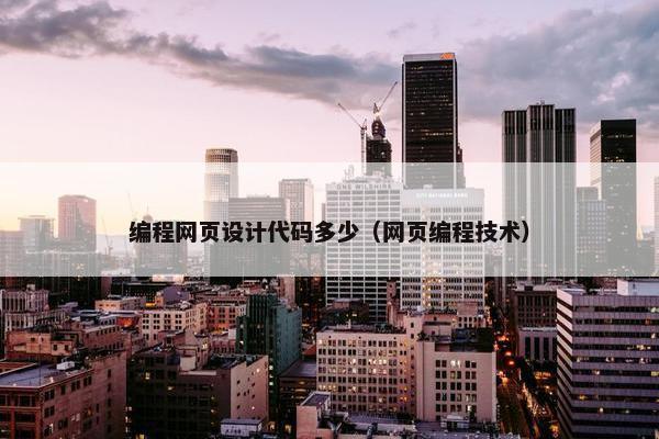 编程网页设计代码多少（网页编程技术）