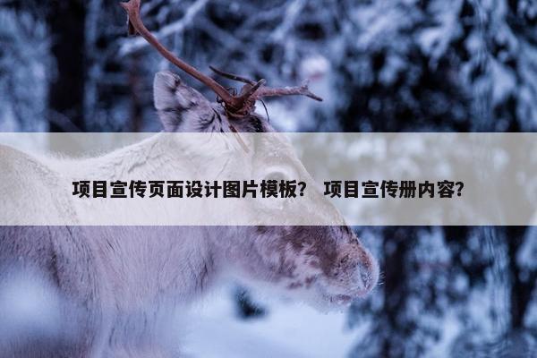 项目宣传页面设计图片模板？ 项目宣传册内容？