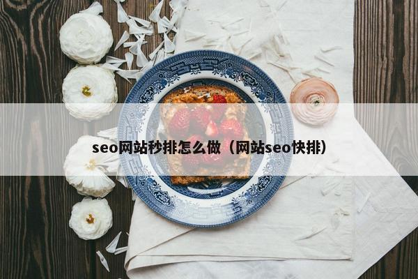 seo网站秒排怎么做（网站seo快排）