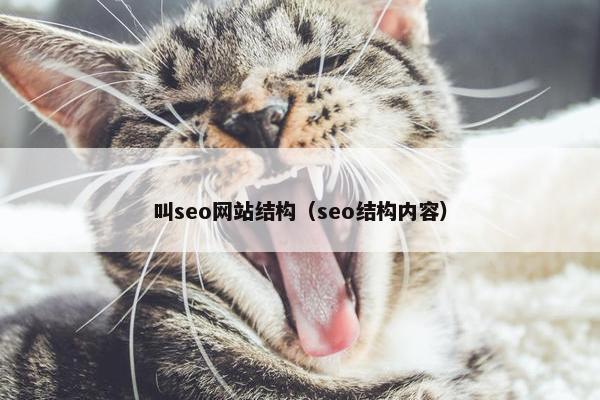 叫seo网站结构（seo结构内容）